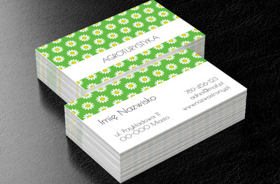 W świecie naturalnego biznesu, Turystyka, Agroturystyka - Wizytówki Netprint