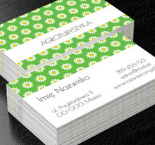 W świecie naturalnego biznesu, Turystyka, Agroturystyka - Wizytówki Netprint