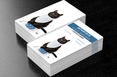 Kot na białym tle, Motywy, Zwierzęta - Wizytówki Netprint