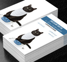 Kot na białym tle, Motywy, Zwierzęta - Wizytówki Netprint