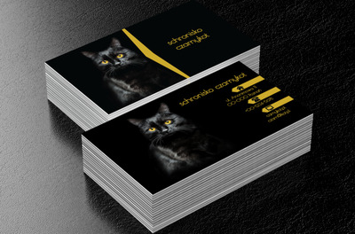 Czarny kot, Środowisko i Przyroda, Schronisko - Wizytówki Netprint