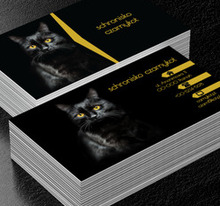 Czarny kot, Środowisko i Przyroda, Schronisko - Wizytówki Netprint