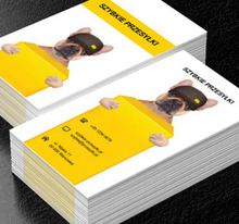 Pies doręczyciel, Transport, Przesyłki - Wizytówki Netprint