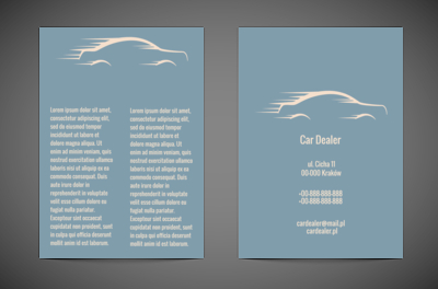 Motoryzacyjny tunel , Motoryzacja, Dealer - Ulotki Netprint