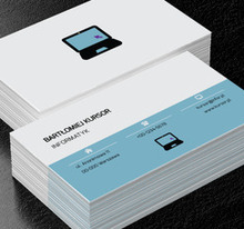 Informatyczne zawirowania, Telekomunikacja i Internet, Informatyk - Wizytówki Netprint