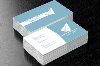 Papierowy samolot, Usługi biurowe, Agencja marketingowa - Wizytówki Netprint