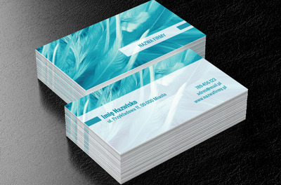 Błękitna delikatność, Rozrywka, Organizator imprez - Wizytówki Netprint