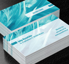 Błękitna delikatność, Rozrywka, Organizator imprez - Wizytówki Netprint