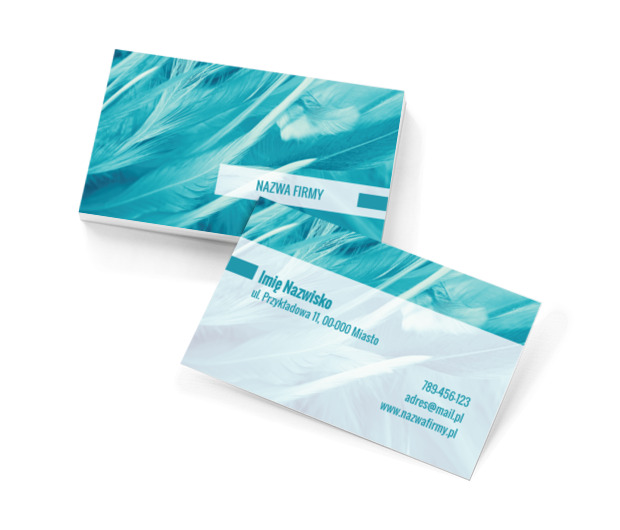 Błękitna delikatność, Rozrywka, Organizator imprez - Wizytówki Netprint szablony online