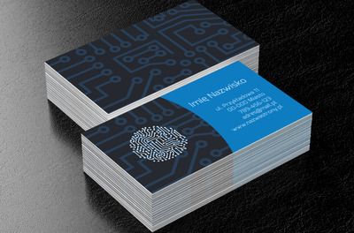 Pochwała nowoczesności, Telekomunikacja i Internet, Informatyk - Wizytówki Netprint