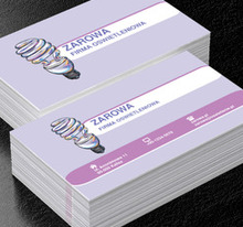 Żarówka na kolorowym tle, Budownictwo, Oświetlenie - Wizytówki Netprint