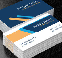 Geometryczne uporządkowanie dla profesjonalisty, Motywy, Uniwersalne - Wizytówki Netprint