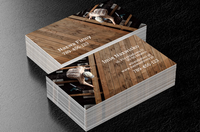 Drewniany świat dobrego fachowca, Budownictwo, Remont i Wykończenia - Wizytówki Netprint