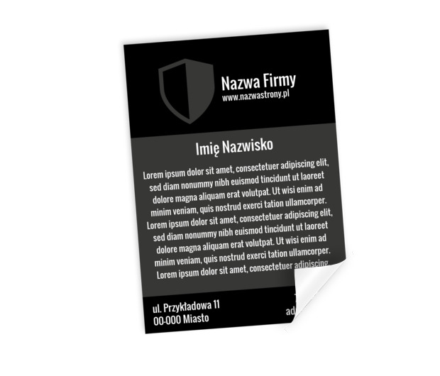 Grafika dla solidnego ubezpieczyciela, Finanse i ubezpieczenia, Pośrednik ubezpieczeniowy  - Plakaty Netprint szablony online