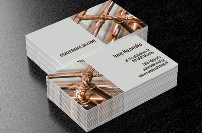 Fachowcy od ogrzewania gazowego, Usługi domowe, Serwisant - Wizytówki Netprint