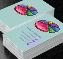 Wykres kołowy, Finanse i ubezpieczenia, Biuro rachunkowe - Wizytówki Netprint