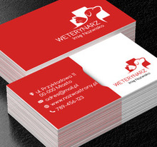 Wers i rewers – pies i kot, Środowisko i Przyroda, Lecznica weterynaryjna - Wizytówki Netprint