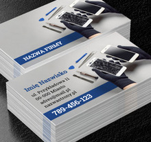 Precyzyjne podejście do sprawy, Usługi domowe, Serwisant - Wizytówki Netprint