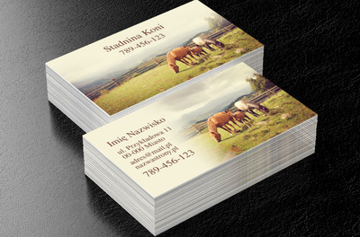 Wizytówka jak zaproszenie, Środowisko i Przyroda, Usługi dla zwierząt - Wizytówki Netprint