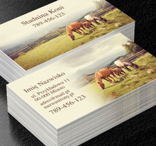 Wizytówka jak zaproszenie, Środowisko i Przyroda, Usługi dla zwierząt - Wizytówki Netprint