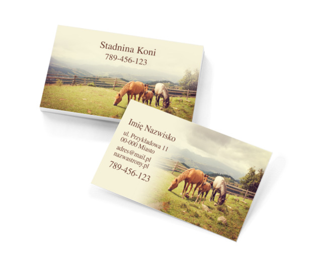 Wizytówka jak zaproszenie, Środowisko i Przyroda, Usługi dla zwierząt - Wizytówki Netprint szablony online