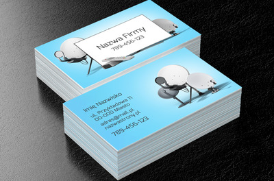 Montujecie okna na świat, Telekomunikacja i Internet, Usługi telekomunikacyjne - Wizytówki Netprint