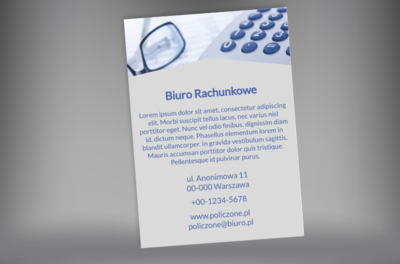 Pełny profesjonalizm, Finanse i ubezpieczenia, Biuro rachunkowe - Plakaty Netprint