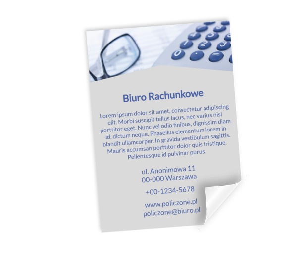 Pełny profesjonalizm, Finanse i ubezpieczenia, Biuro rachunkowe - Plakaty Netprint szablony online