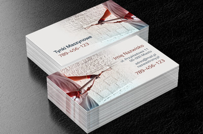Profesjonalne upiększanie, Budownictwo, Remont i Wykończenia - Wizytówki Netprint