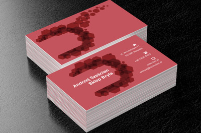 Czerwone figury geometryczne, Motywy, Abstrakcja - Wizytówki Netprint