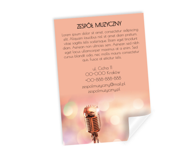 Prestiż i wysoki poziom, Rozrywka, Zespół muzyczny - Plakaty Netprint szablony online