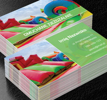 Zapewniacie dzieciom frajdę, Rozrywka, Organizator imprez - Wizytówki Netprint