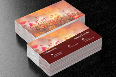 Kolorowa łąka, Motywy, Krajobraz - Wizytówki Netprint