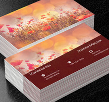 Kolorowa łąka, Motywy, Krajobraz - Wizytówki Netprint