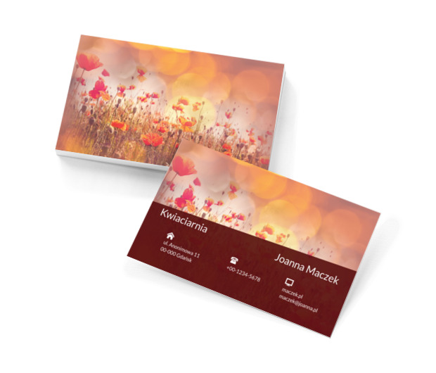 Kolorowa łąka, Motywy, Krajobraz - Wizytówki Netprint szablony online