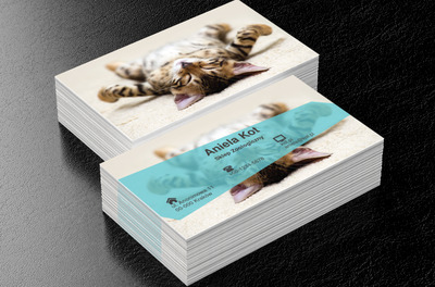 Leżący kot, Motywy, Zwierzęta - Wizytówki Netprint