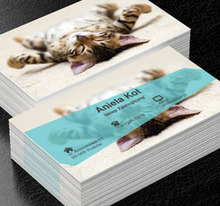 Leżący kot, Motywy, Zwierzęta - Wizytówki Netprint