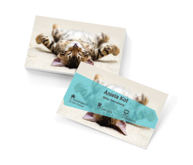 Leżący kot, Motywy, Zwierzęta - Wizytówki Netprint szablony online