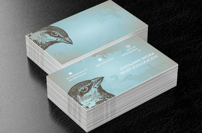 Głowa ptaka, Motywy, Zwierzęta - Wizytówki Netprint