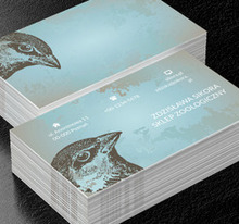 Głowa ptaka, Motywy, Zwierzęta - Wizytówki Netprint