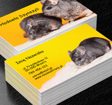 Zachęcaj na wszelkie sposoby, Środowisko i Przyroda, Hodowla zwierząt - Wizytówki Netprint