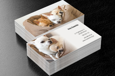 Rozczulająca i zachęcająca, Środowisko i Przyroda, Hodowla zwierząt - Wizytówki Netprint