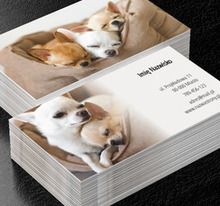 Rozczulająca i zachęcająca, Środowisko i Przyroda, Hodowla zwierząt - Wizytówki Netprint