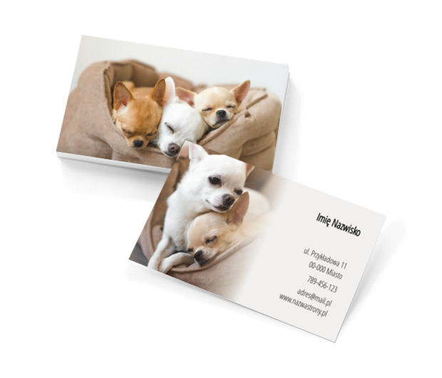 Rozczulająca i zachęcająca, Środowisko i Przyroda, Hodowla zwierząt - Wizytówki Netprint szablony online