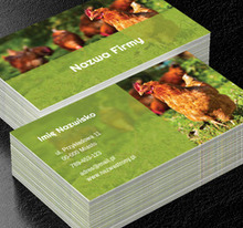 Jaja od naszych zdrowych kur, Środowisko i Przyroda, Hodowla zwierząt - Wizytówki Netprint