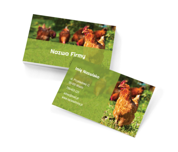 Jaja od naszych zdrowych kur, Środowisko i Przyroda, Hodowla zwierząt - Wizytówki Netprint szablony online