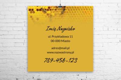 Świetna, słoneczna promocja, Środowisko i Przyroda, Usługi dla zwierząt - Plakaty Wielkoformatowe Netprint