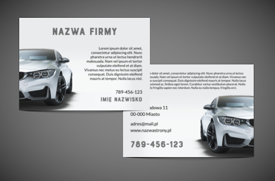 Logo, dane kontaktowe i ten „pazur”, Motoryzacja, Dealer - Ulotki Netprint