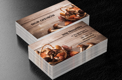 Dary lasu w waszych rękach, Motywy, Roślinne - Wizytówki Netprint