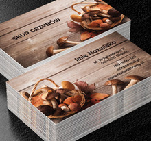 Dary lasu w waszych rękach, Motywy, Roślinne - Wizytówki Netprint